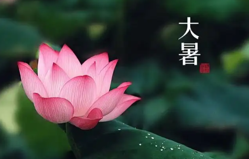 今日大暑：夏正浓，注意养生
