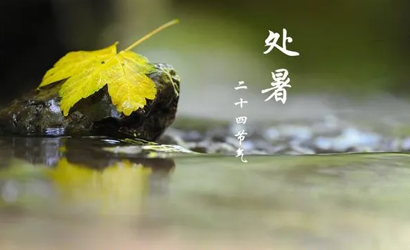 处暑节气至