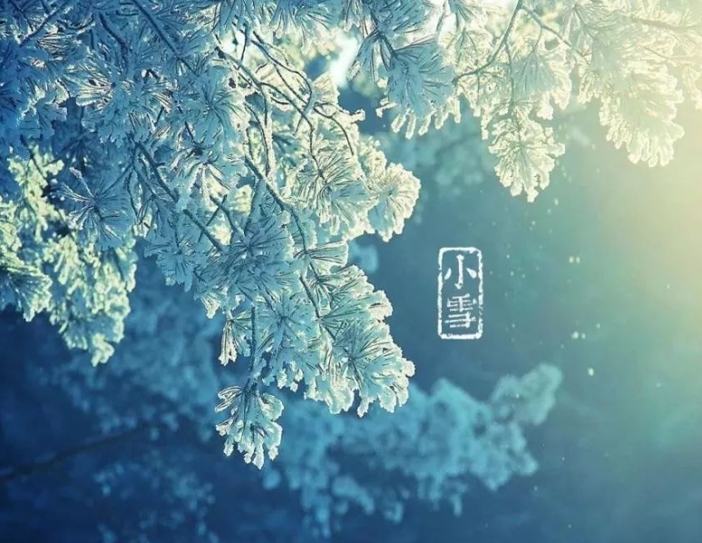 二十四节气 | 小雪
