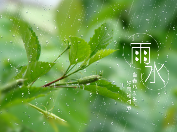 二十四节气 | 今日雨水