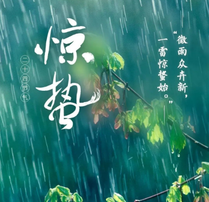 手机贴膜