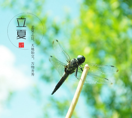 手机贴膜加盟